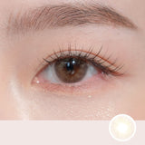 WCX-501 AVALINE BROWN