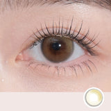 WCX-722 Jellypop Royal Brown